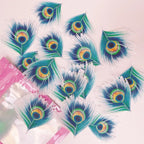 moreish-wafer-peacock-feathers-15-pack