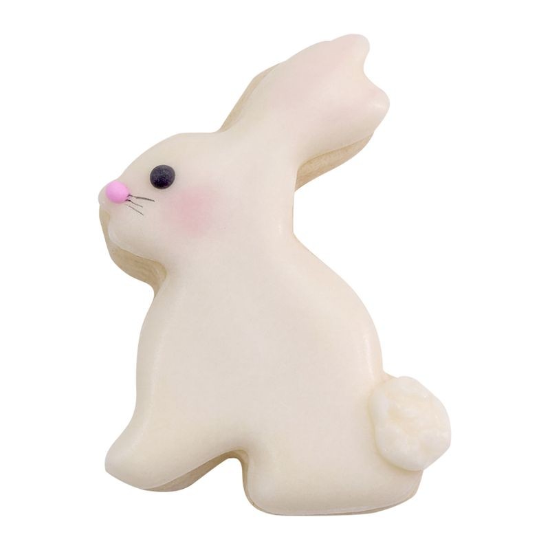 r-m-mini-easter-cooke-cutter-set-8pc-assorted-colours