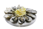 oyster-wheel-12-hole-with-tray