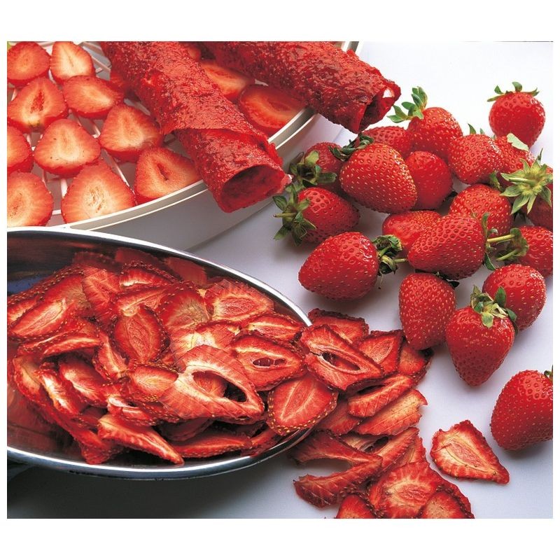 ezidri-ultra-digital-fd-1000-dehydrator