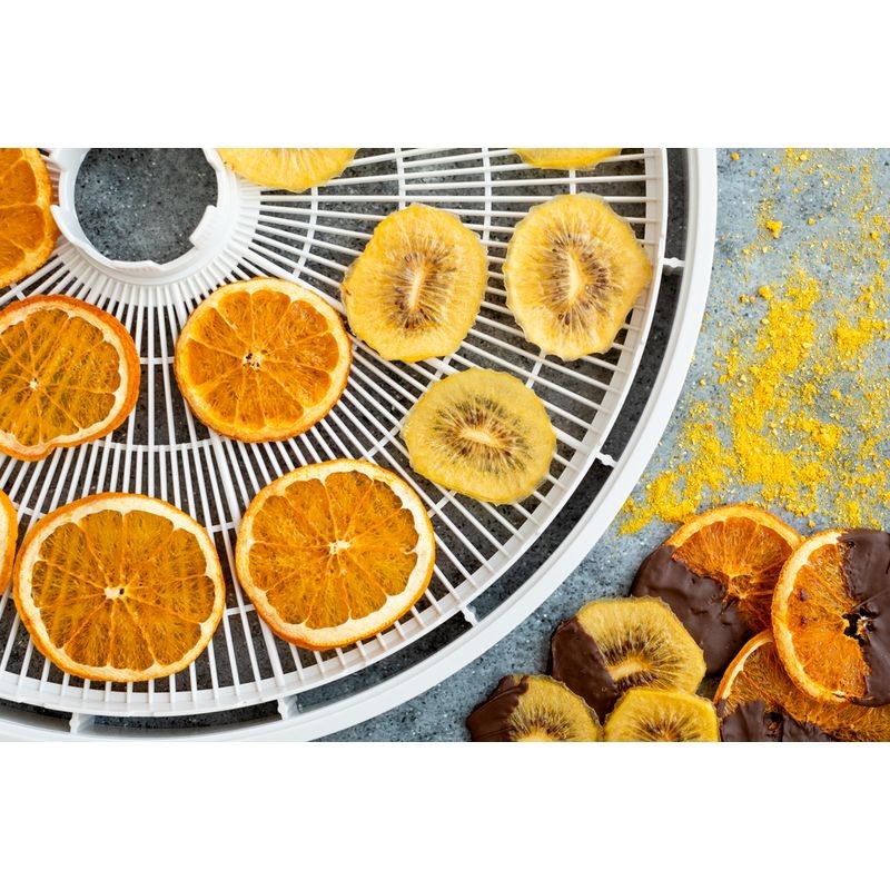 ezidri-ultra-digital-fd-1000-dehydrator