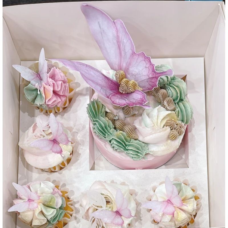 more-bento-cake-n-cuppies-boxes-regular-10-pack