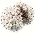 Artificial Frosted Berry Stems – White 20 Pack