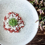 Bonna Lunar White Round Plate 280mm