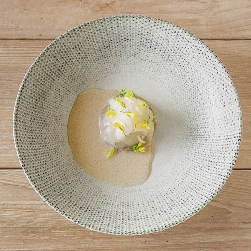 Bonna Sway Vago Coupe Plate 240x21mm