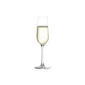Stolze Revolution Champagne Flute 200ml